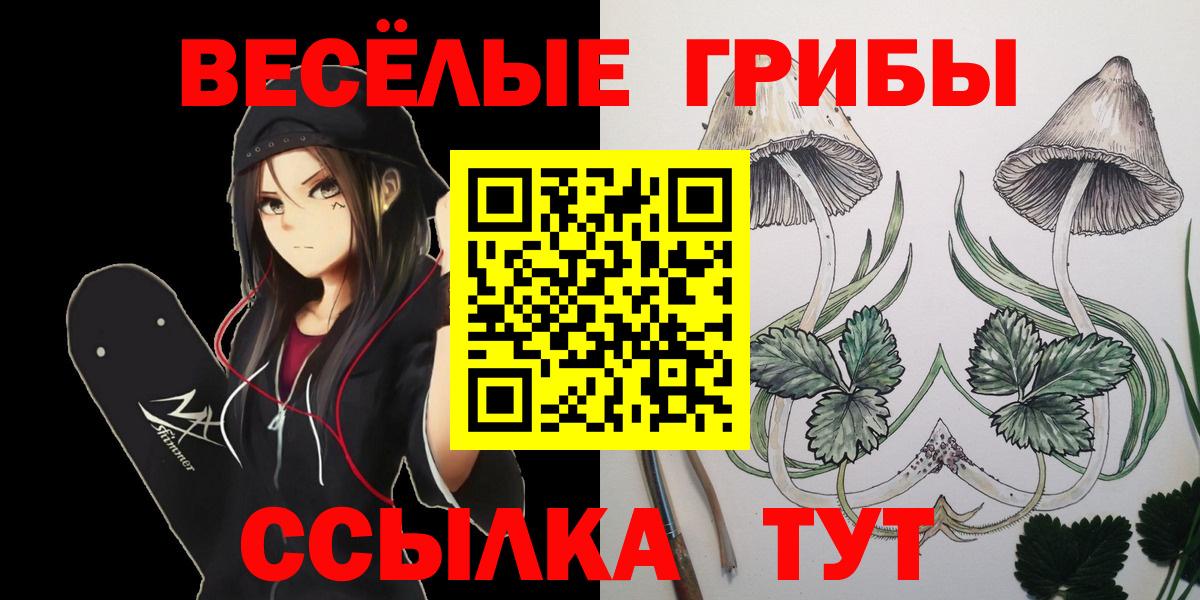Псилоцибиновые грибы Psilocybine cubensis Новочеркасск